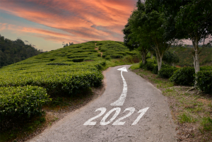 2021 Outlook